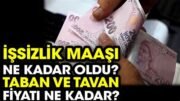 İşsizlik Maaşı Ne Kadar?