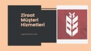 Martı Müşteri Hizmetleri