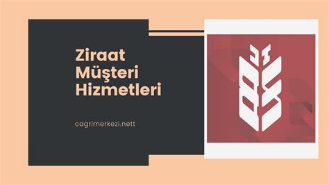 Martı Müşteri Hizmetleri